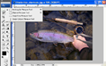 Selection Shortcuts thumbnail